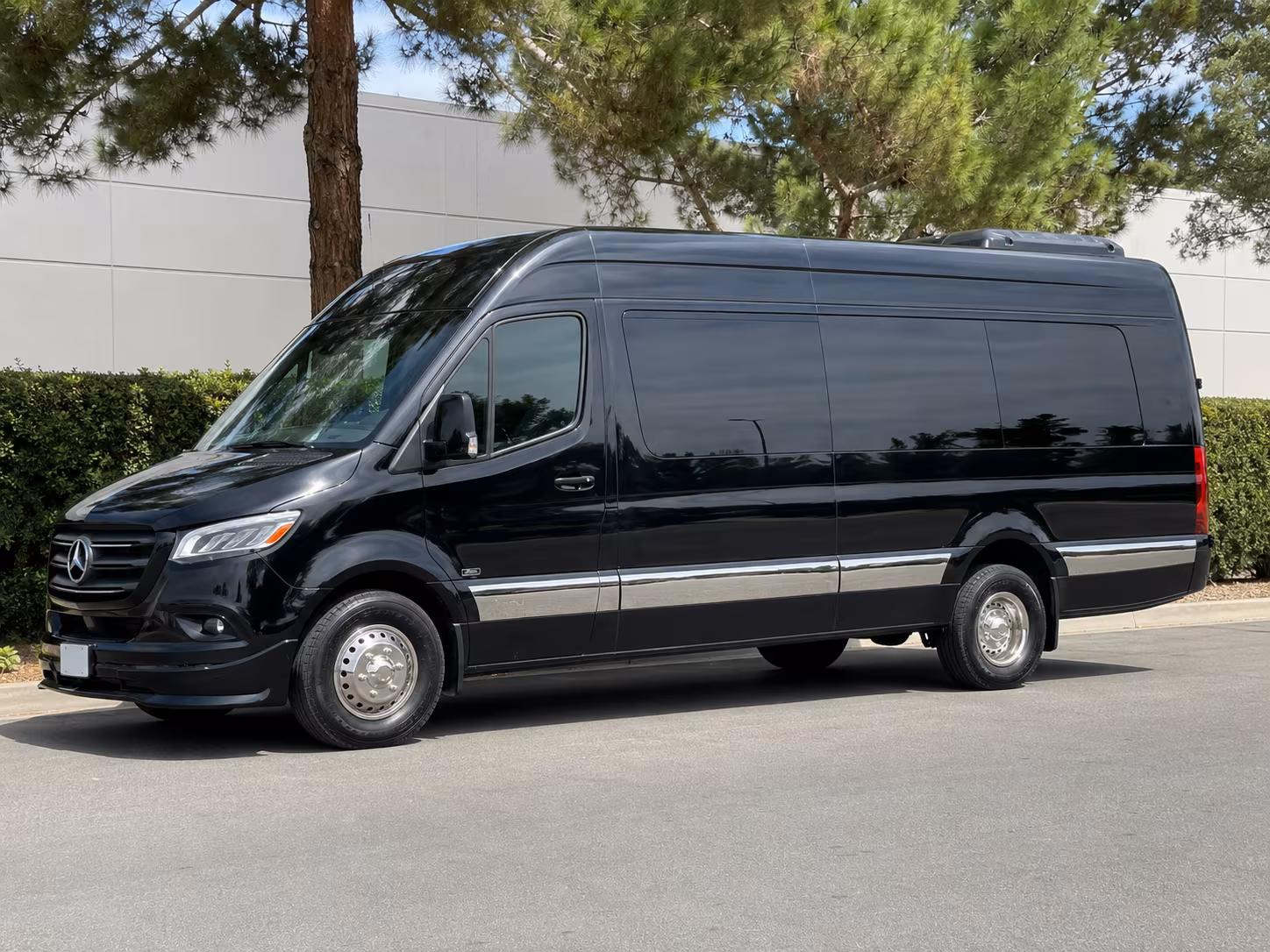 sprinter van with driver