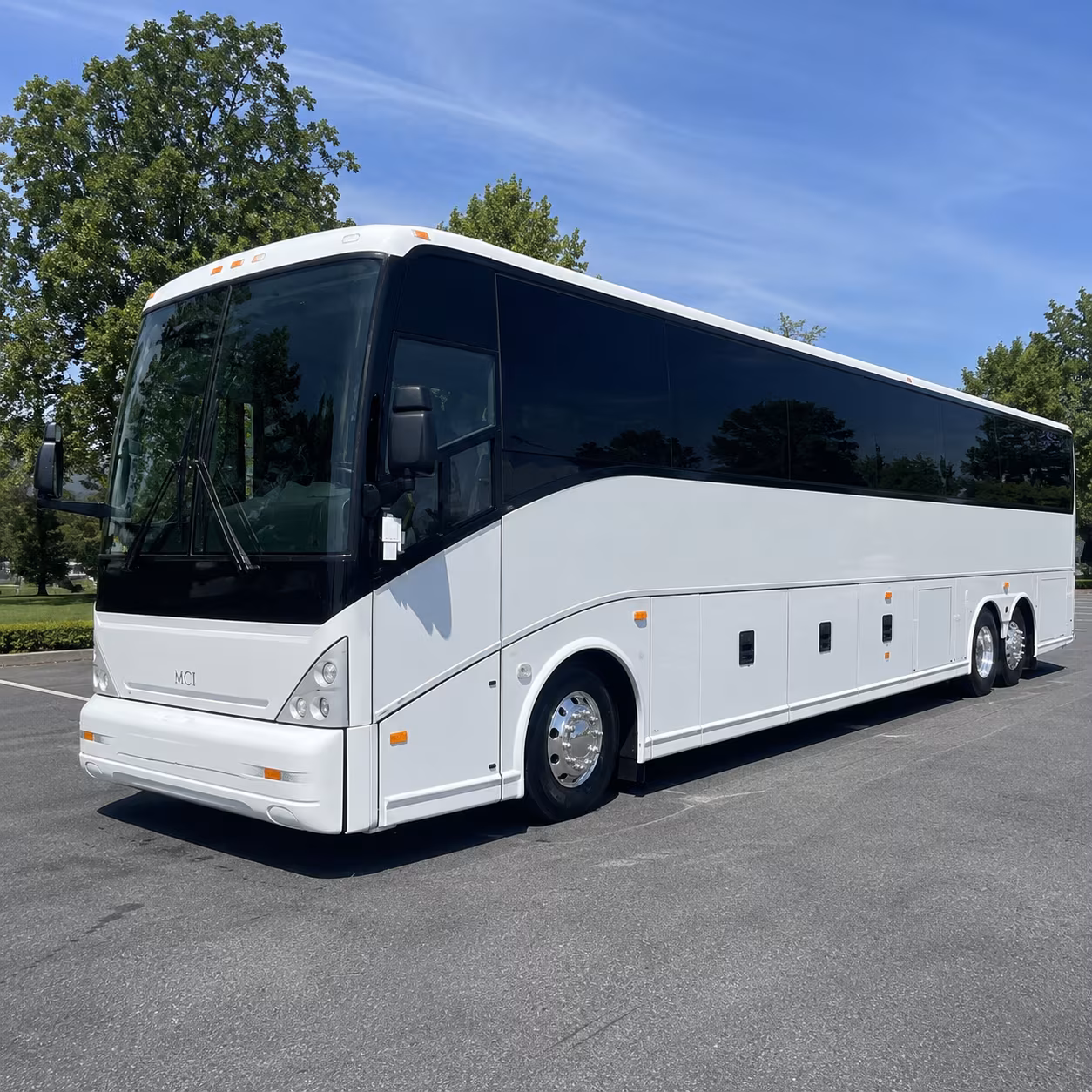 sprinter vans and minibuses for huntington beach wedding party transportation